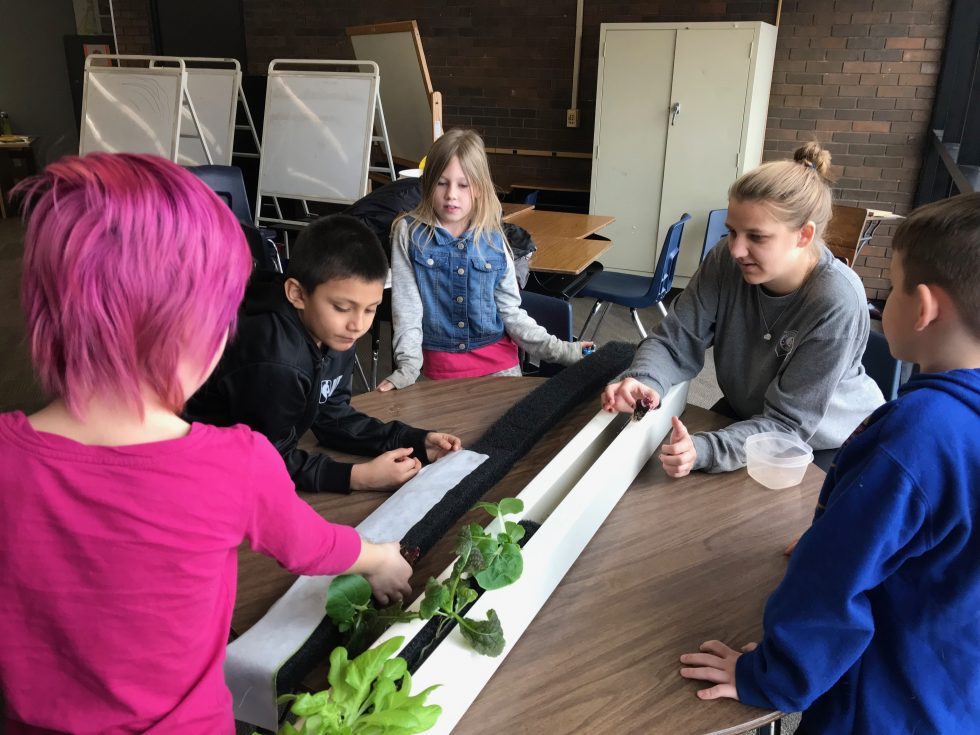 Students learn about hydroponics